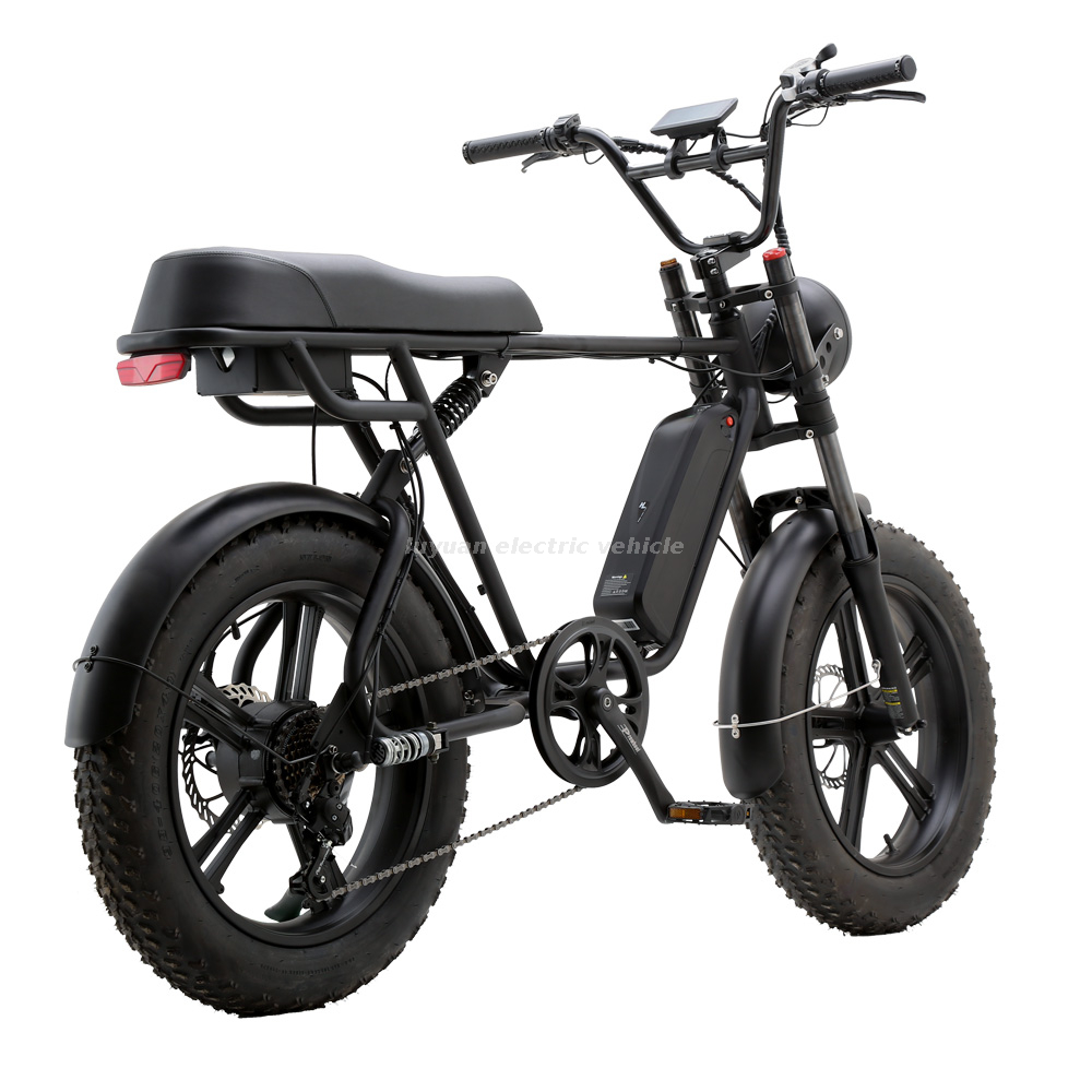 Vélo électrique Harley EH 02