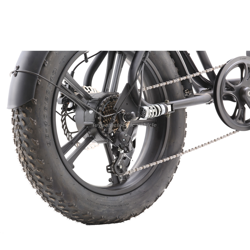 Vélo électrique Harley EH 02