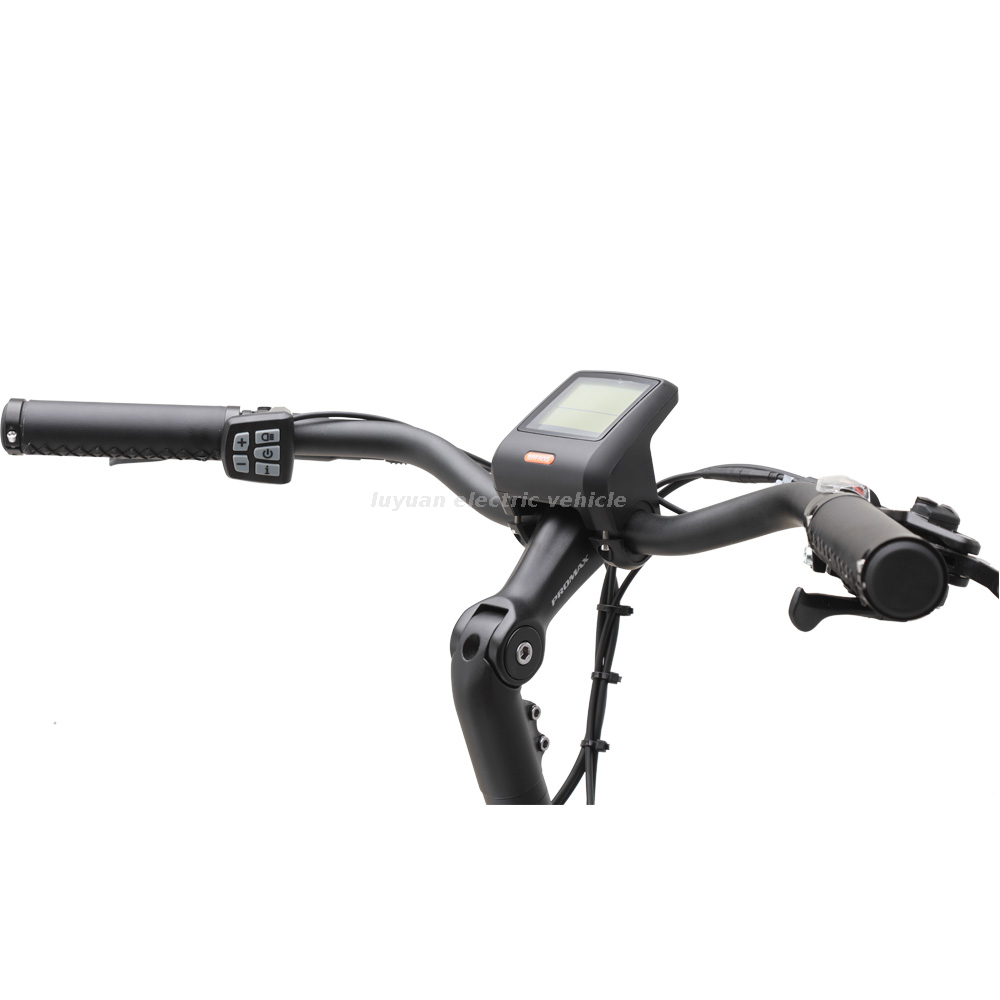Pas Bicycle Bafang Traffic Vélos électriques