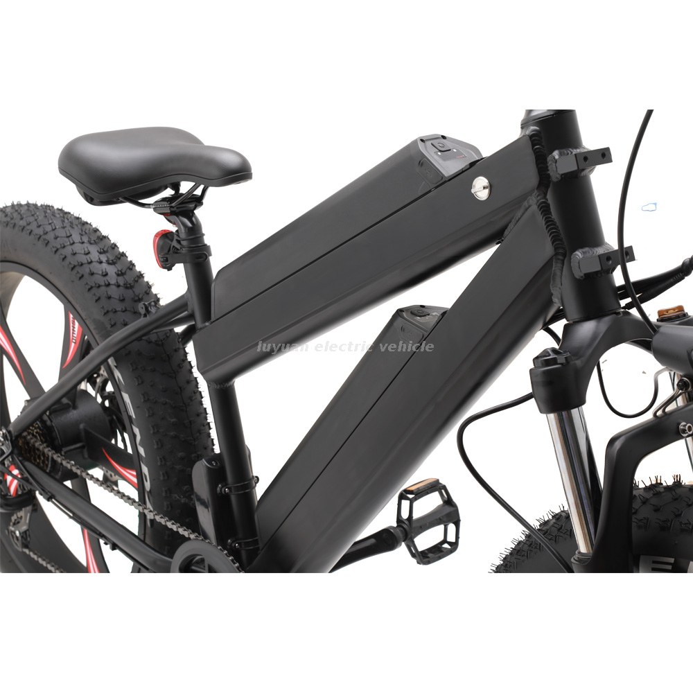 Vélo électrique EM 02WD